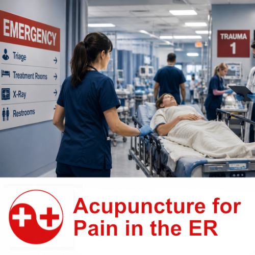 Thumbnail for Acupuncture for Analgesia in Emergency Medicine.