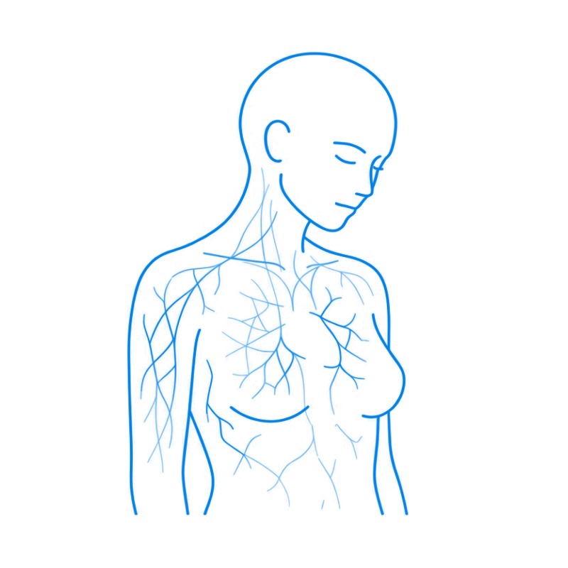 Illustration conceptuelle d’un individu exprimant une fatigue chronique et une vitalité intérieure diminuée.