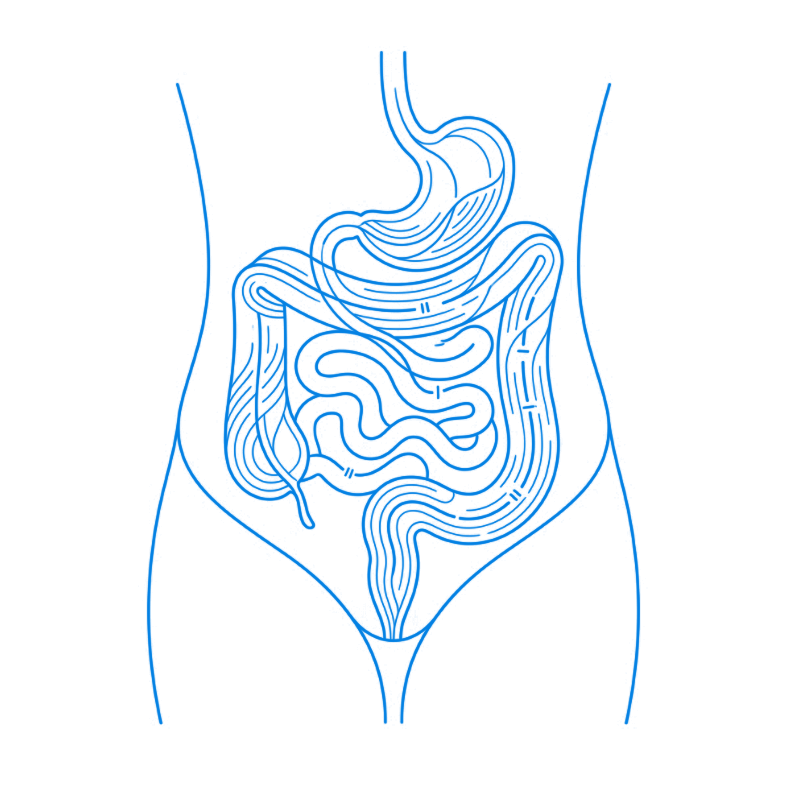 Illustration representing digestive imbalance and a systems approach to gut health.