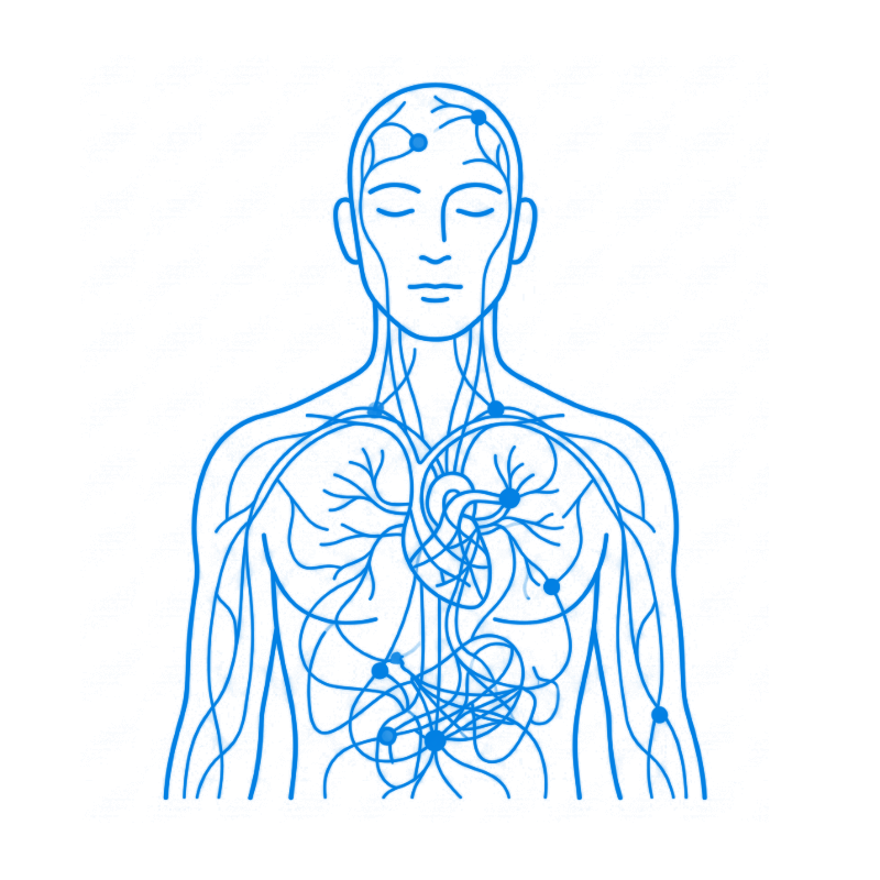 Illustration conceptuelle d’un déséquilibre inflammatoire et métabolique discret, concentré autour du tronc et de la région abdominale.