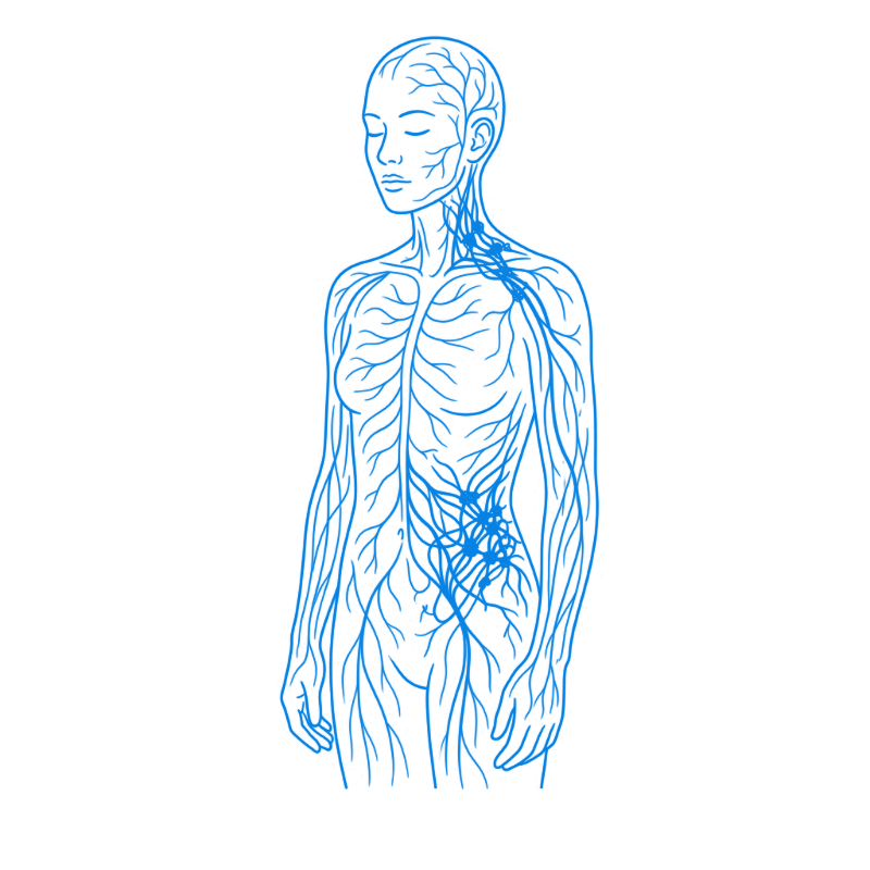 Illustration conceptuelle d’un système nerveux en hypersensibilisation, suggérant une douleur chronique persistante et diffuse.