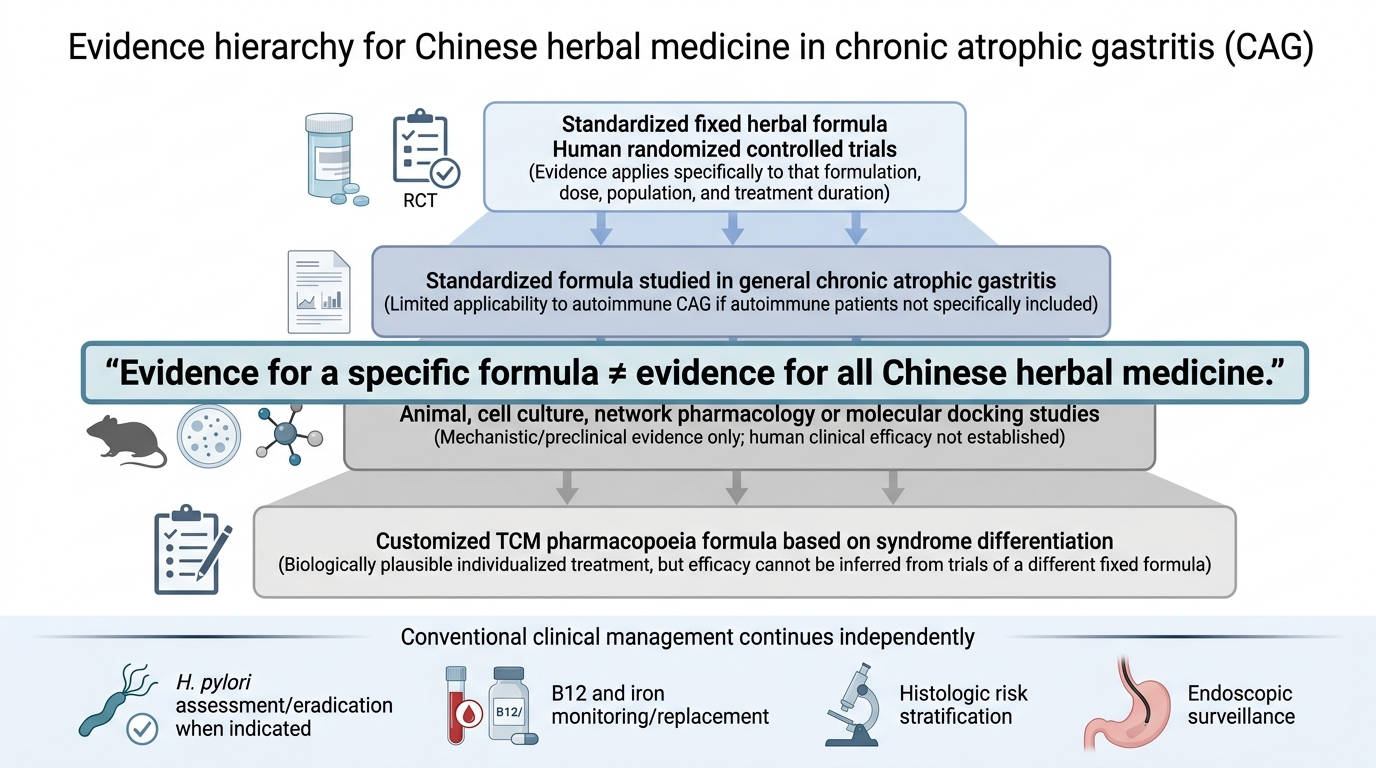 Evidence hierarchy diagram for Chinese herbal medicine in chronic atrophic gastritis.