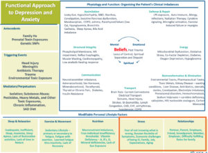 Functional medicine timeline illustration from the original Body's Wisdom article.
