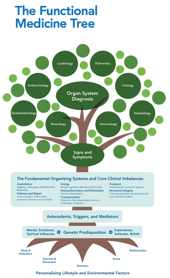 Functional medicine matrix illustration from the original Body's Wisdom article.