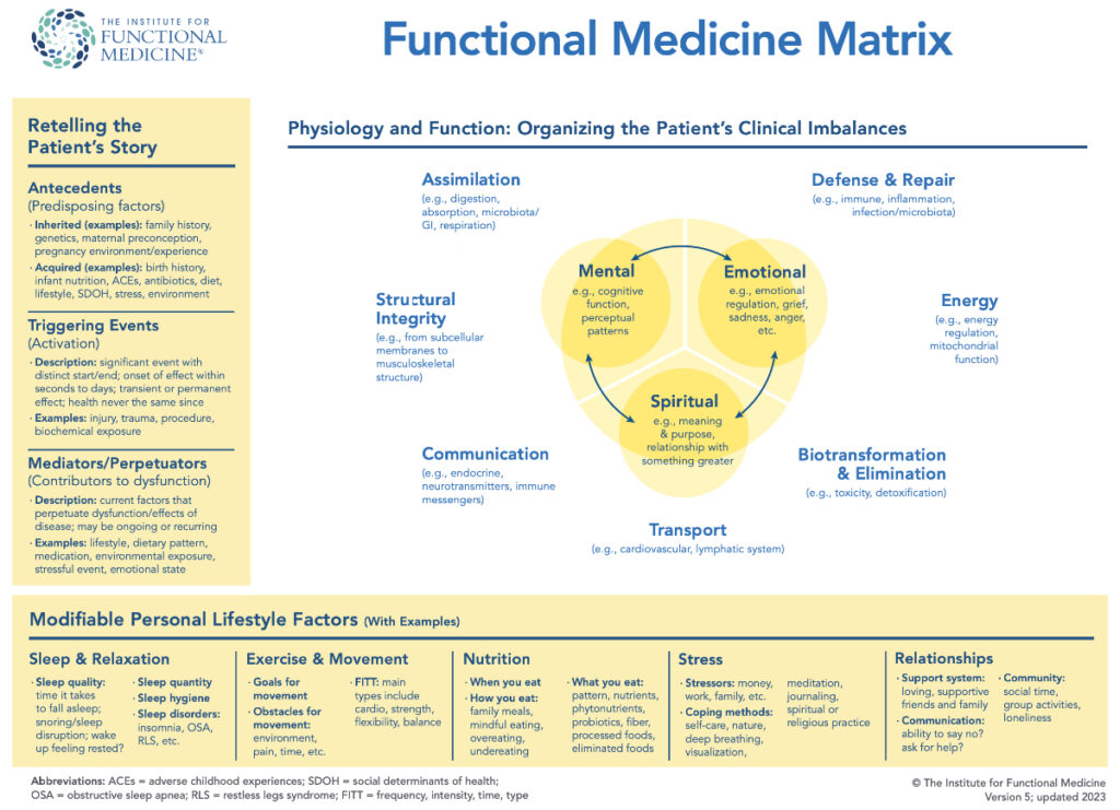 Functional medicine matrix illustration used to map chronic kidney disease physiology.