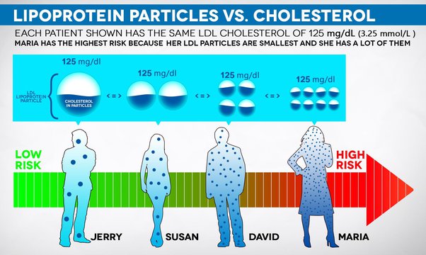 LDL particle size illustration from the original newsletter.