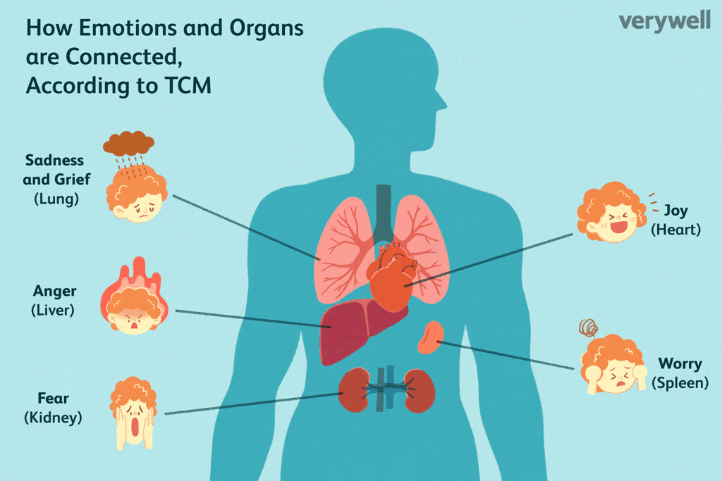Traditional Chinese medicine emotion and organ relationship chart from the original lung-gut axis article.