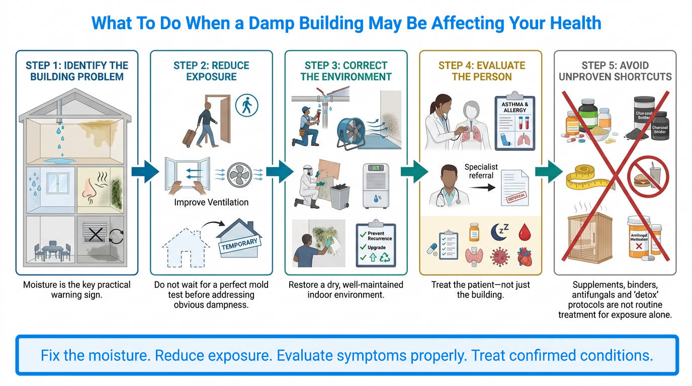 Infographic: What To Do When a Damp Building May Be Affecting Your Health.