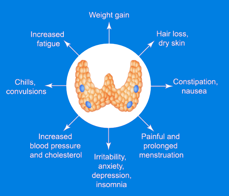 Thyroid symptoms including fatigue, hair loss, constipation, and mood changes.