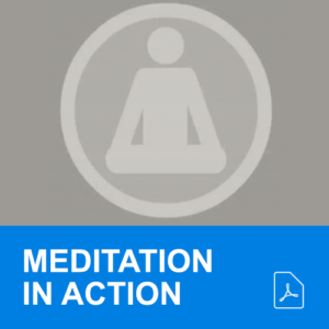 meditation in action (guides)