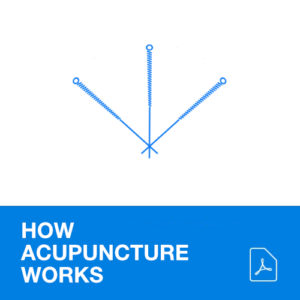 how acupuncture works 